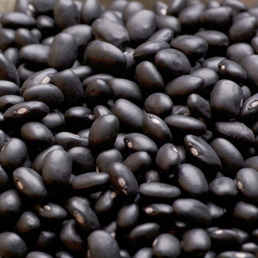 Perishable food sourcing and logistics
